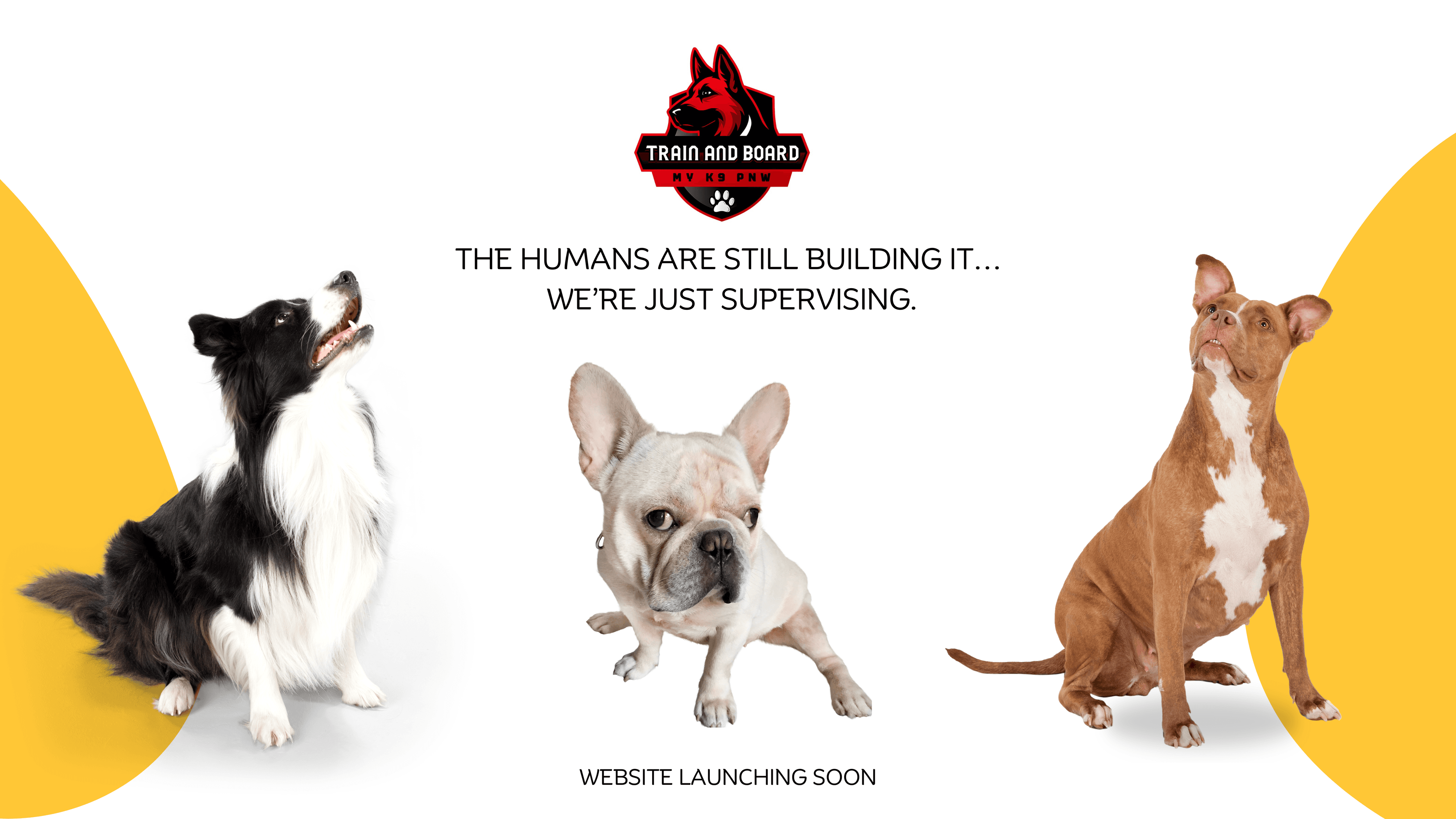 Train and Board My K9 PNW — Website Launching Soon