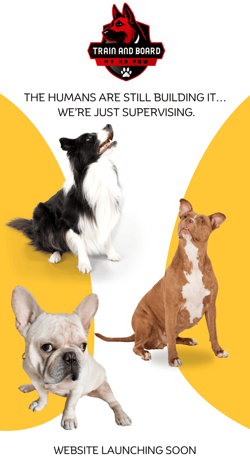 Train and Board My K9 PNW — Website Launching Soon